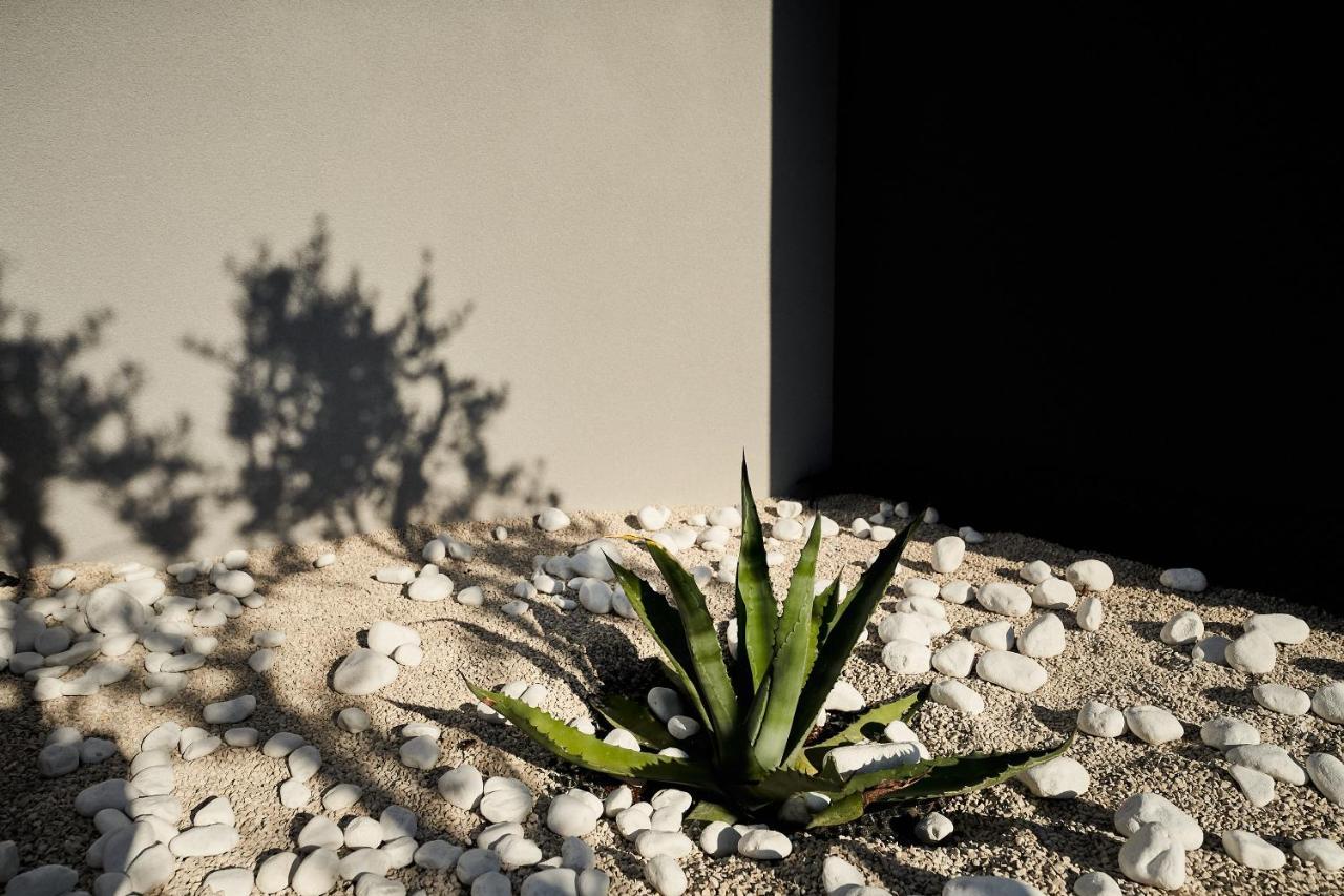 Villa Barbara 波雷奇 外观 照片